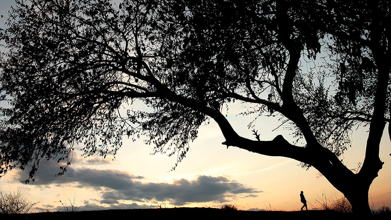 24 hours: Georgia: A woman walks during sunset on the shore of the Tbilisi Sea