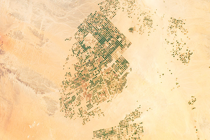 Satellite Eye on Earth: abundant green fields in Saudi Arabia