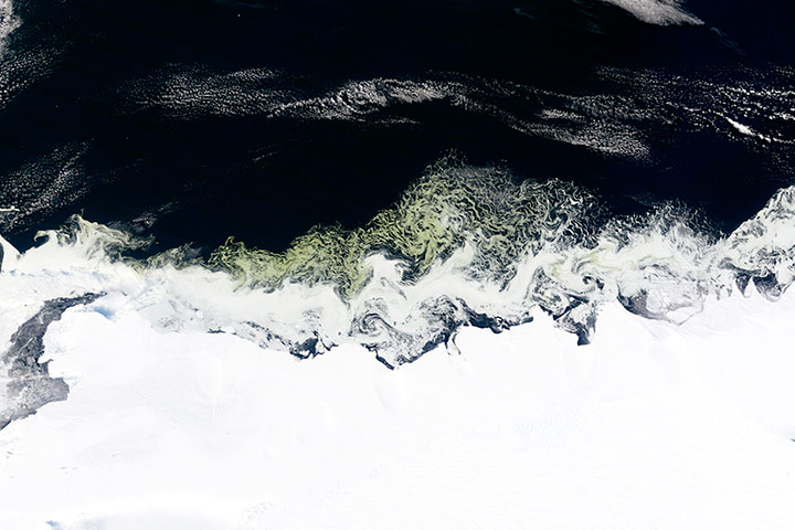 Satellite Eye on Earth: wirls of green amidst the ice off the Princess Astrid Coast