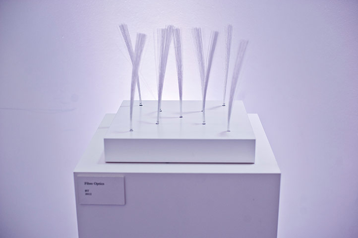 Carbon Trust: Footprinting Gallery Exhibition : 