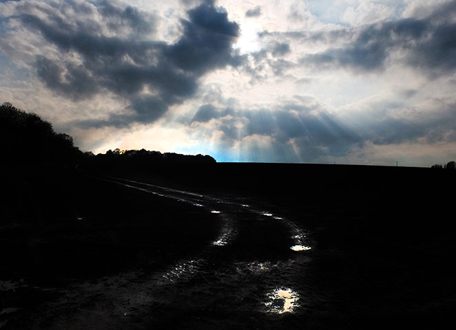 Week in wildlife: Spring time