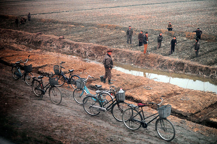 Longer view: North Koreans are seen from the window of a train working in a field