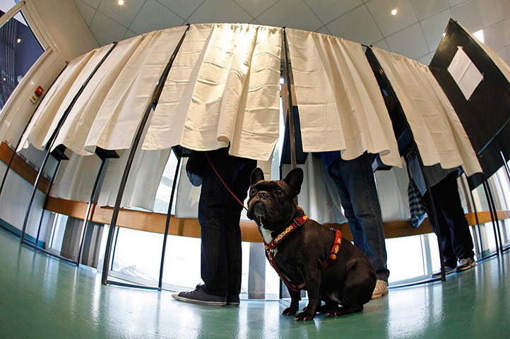 French elections: A dog waits as its owner stands in a polling booth in Nice