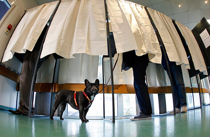 24 hours: Nice, France: A dog waits as its owner votes in the presidential election