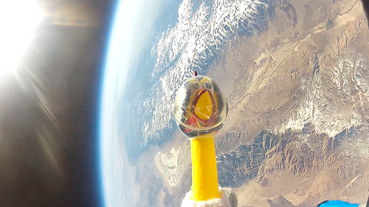 Picture desk live: NASA photo of Camilla the chicken at 124,800 feet above California