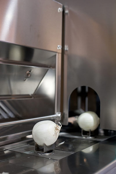 Glasgow: Wolfgang Tillmans's Onion, 2010 at Glasgow Internatioanl Festival of Art