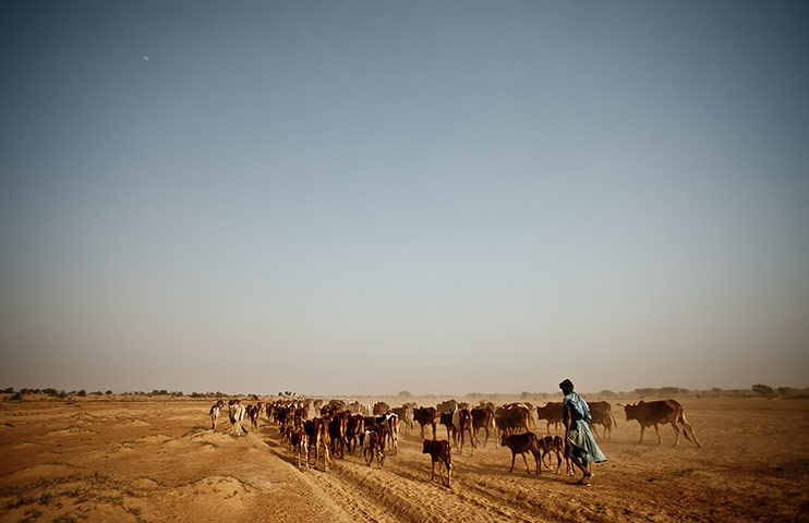 Sahel Crisis: Drought response in Mauritania