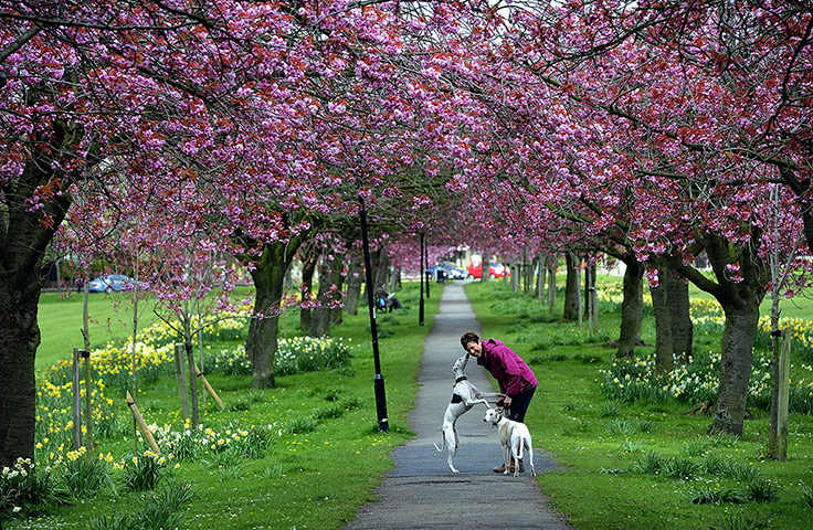 Picture desk live : Spring weather