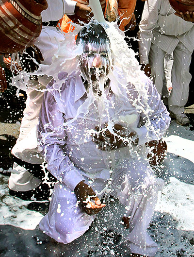 Picture desk live: Indian milkmen pour milk on their leader during a protest in New Delhi