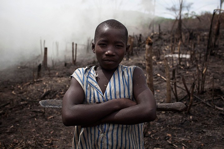 Sierra Leone after Taylor: A boy working to make charcoal stands in a slashed and burned area