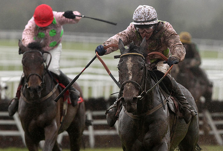 racing: Horse Racing