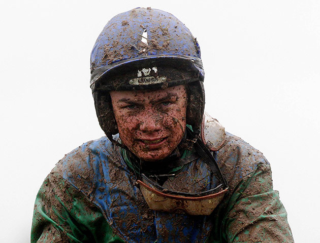 racing: Horse Racing