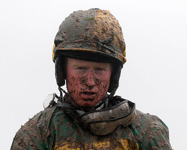 racing: Horse Racing