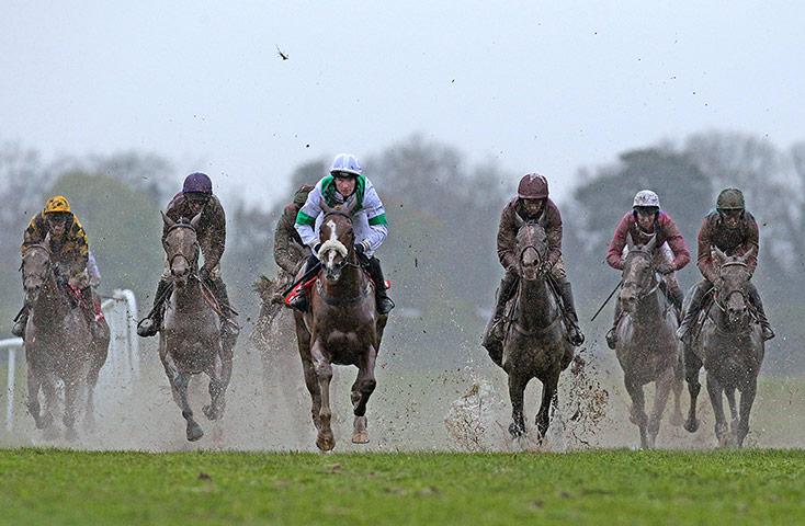 racing: The runners and ridersAt the Races Flat Race25/4/2012