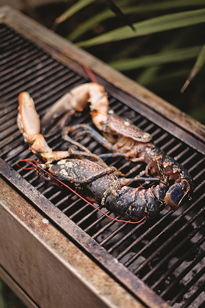 Grilled lobster: Grilled lobster 1