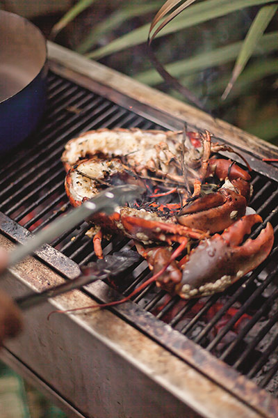 Grilled lobster: Grilled lobster 5