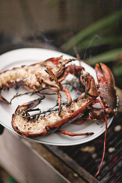Grilled lobster: Grilled lobster 6