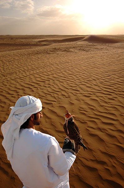 Dubai gallery II: Bedouin man with falcon