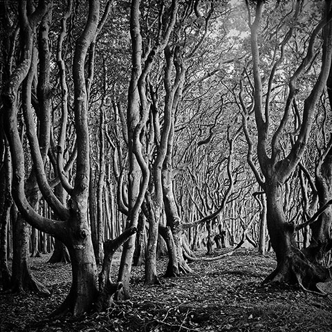 GDT: Nature Photographer of the Year 2012