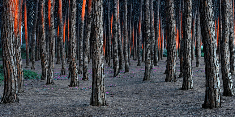 GDT: Nature Photographer of the Year 2012