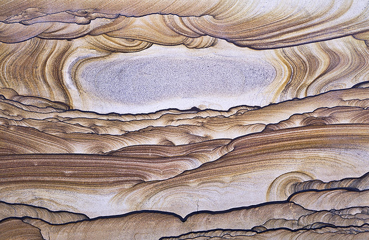 GDT: Nature Photographer of the Year 2012