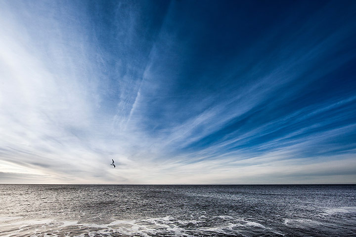 GDT: Nature Photographer of the Year 2012