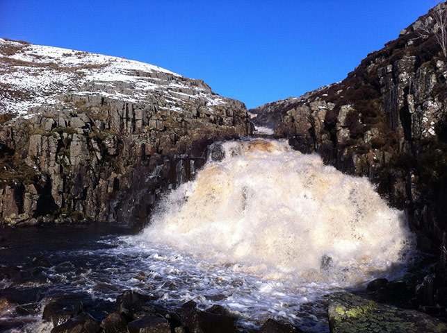 Green Shoots: March 2012 about water