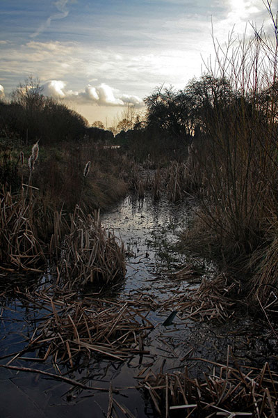 Green Shoots: March 2012 about water