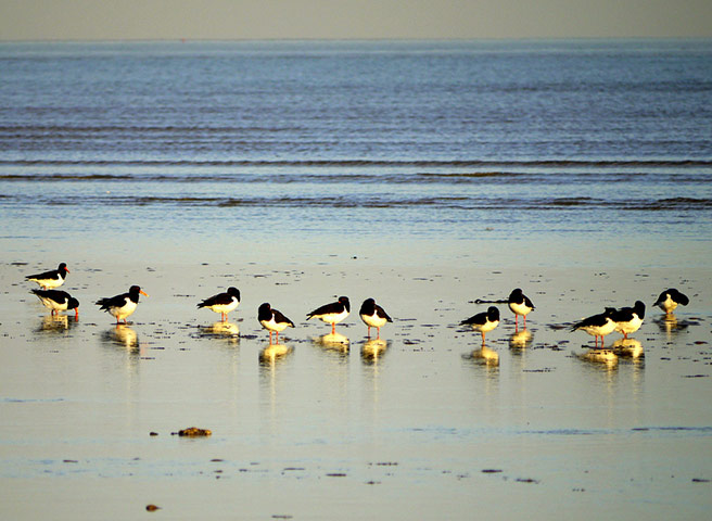 Green Shoots: March 2012 about water