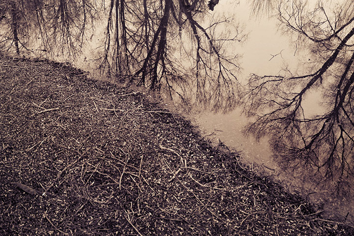 Green Shoots: March 2012 about water