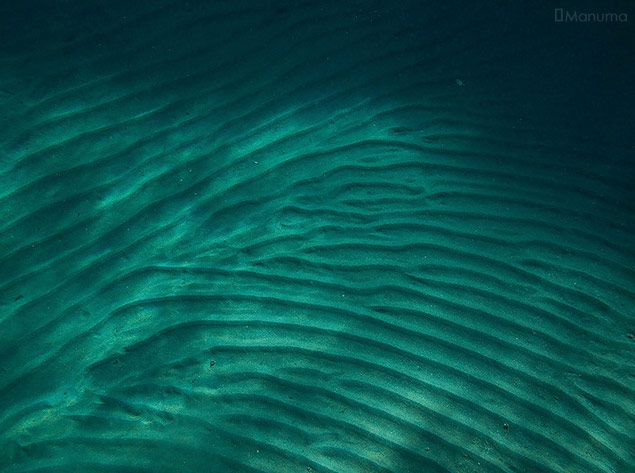 Green Shoots: March 2012 about water