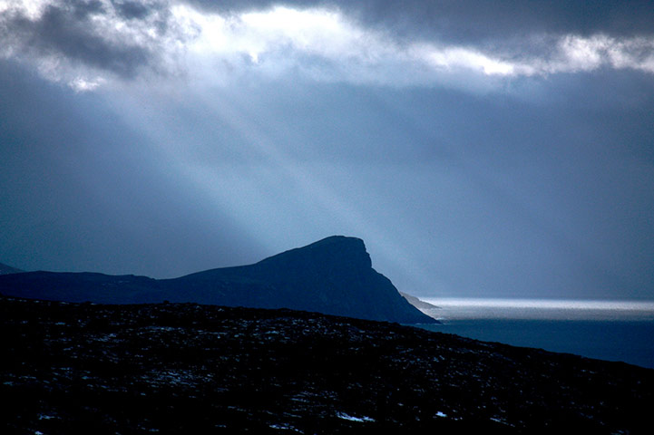 Green Shoots: March 2012 about water