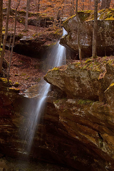 Green Shoots: March 2012 about water