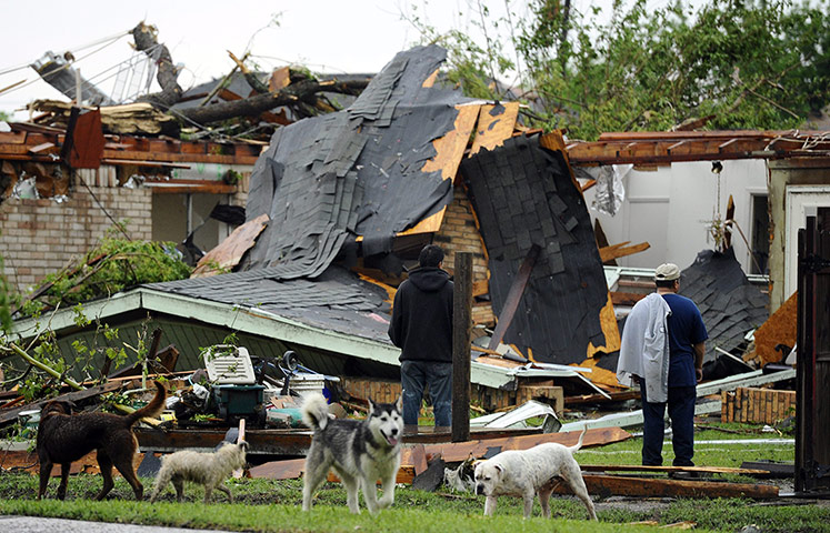 Texas tornadoes: Texas tornadoes