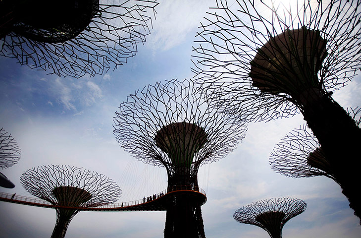 Picture desk live: The Supertree Aerial Walkway opens for a press preview in Singapore