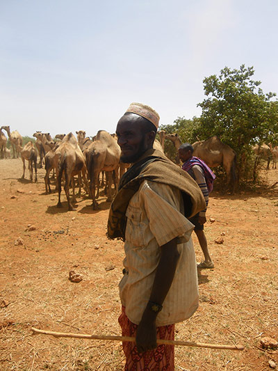 Pastoralists in Borana: 21st century pastoralism in southern Ethiopia