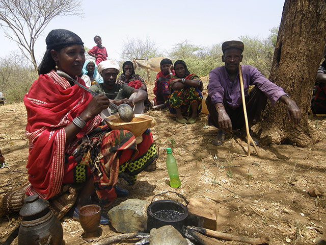 Pastoralists in Borana: 21st century pastoralism in southern Ethiopia