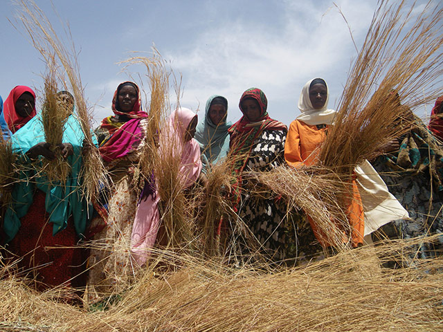 Pastoralists in Borana: 21st century pastoralism in southern Ethiopia