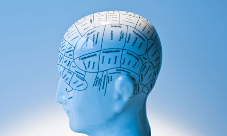 Model of human brain