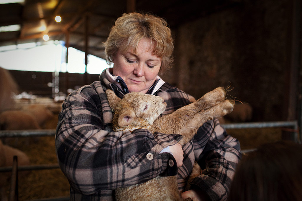 Lambing student Sue Pritchard holds a lamb