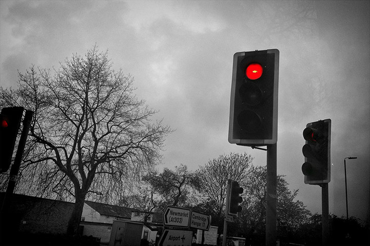 Guardian Camera Club: Sylviane Moss participates in the photographing found objects assignment