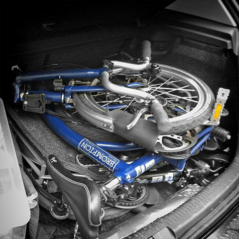 Guardian Camera Club: Sylviane Moss participates in the photographing found objects assignment