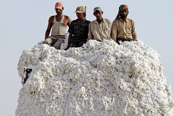 24 hours in pictures: Indian labourers unload cotton from a truck