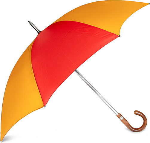 Umbrellas: Best Umbrellas