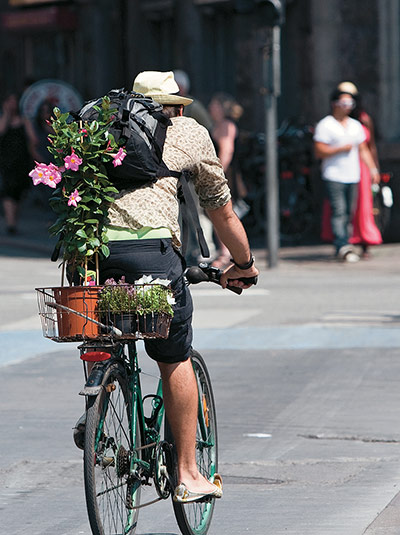 Big Picture, bikes: Big Picture: man with a plant on the back of his bike