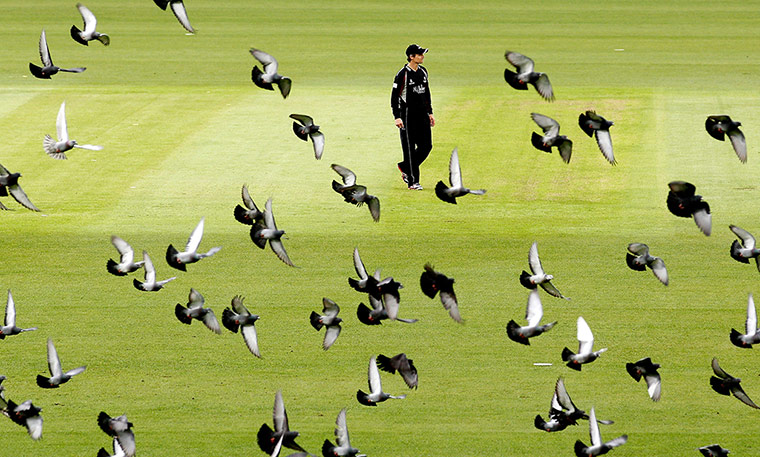 best pics of the week2: Surrey v Somerset - Clydesdale Bank Pro40