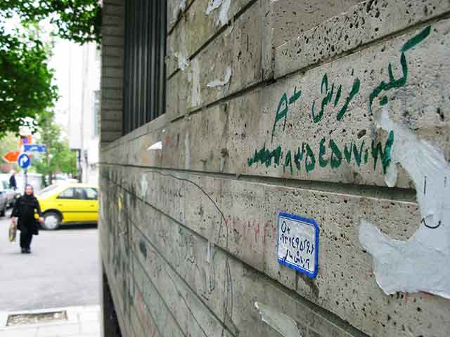 Iran Kidney: Iran Kidney2