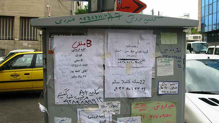 Iran Kidney: Iran Kidney