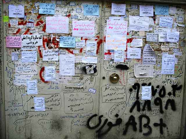 Iran Kidney: Iran Kidney6