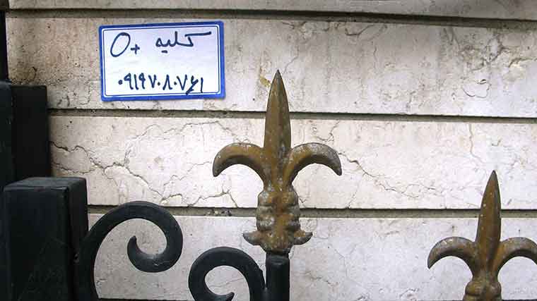 Iran Kidney: Iran Kidney9